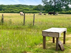 a wooden bench in front of a field with cows at Water Vole - Uk49931 in Shadoxhurst