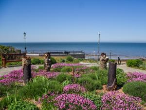 Naturlandskabet i nærheden af feriehuset