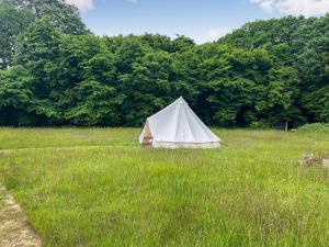 a white tent sitting in a field of grass at Barn Owl - Uk49932 in Shadoxhurst +3 photos