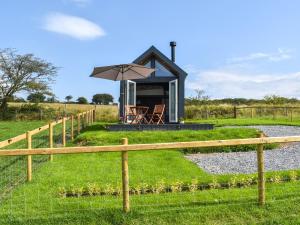 Κήπος έξω από το Llandremor Fawr Lodge - Uk50336