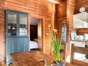 a kitchen with a blue cabinet and a wooden wall at Squirrel View in Newtonmore