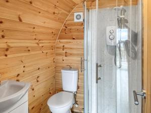 a bathroom with a toilet and a shower at Douglas - Uk49286 in Stranraer