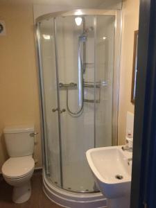 a bathroom with a shower and a toilet and a sink at The Coach and Horses Inn in Chepstow