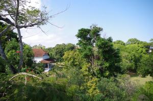 ein Haus inmitten eines Waldes voller Bäume in der Unterkunft Retro in Zanzibar City