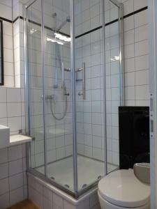 a glass shower in a bathroom with a toilet at Parkhotel Heidehof Apartements in Ingolstadt