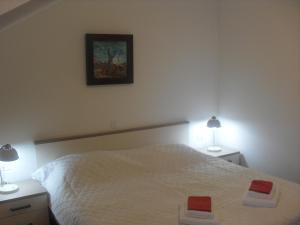 een slaapkamer met een wit bed met 2 verlichting bij Apartment Bogoje in Kučište
