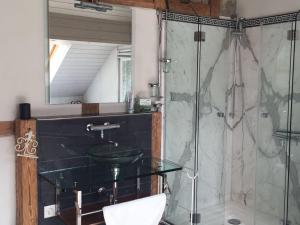 Vannituba majutusasutuses Airport Zürich Elwiras B & B