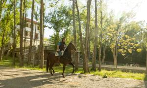
a woman riding on the back of a brown horse at Balneario de Manzanera El Paraíso in Manzanera
