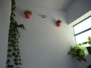 Fotografie z fotogalerie ubytování Apartment Duje v destinaci Makarska