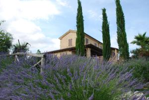 A garden outside Agriturismo Tenuta Sol Alto