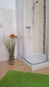a bathroom with a shower and a green rug at Ferienwohnung Kröning in Stralsund +17 photos