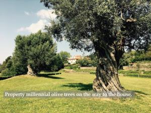 Φωτογραφία από το άλμπουμ του Swimming Pool Bedroom at Casa dos Macieis, Camino Santiago direct access & Optional Agritourism σε Facha +55 φωτογραφίες