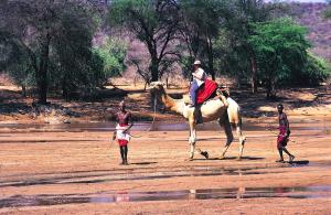 入住Samburu Intrepids Tented Camp的客人