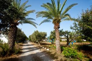 una strada fiancheggiata da palme in un parco di Dolphin Apartments a Frangokastello