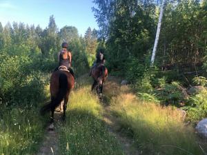 two people riding horses on a trail in a field at Pinewood Guesthouse in Mäntsälä