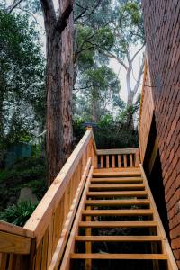 Fotografie z fotogalerie ubytování Relaxing Dandenong Ranges forest haven v destinaci Tremont