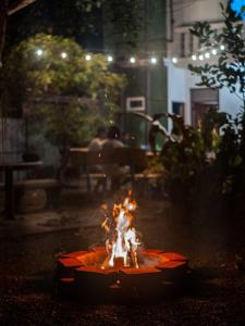 Φωτογραφία από το άλμπουμ του Ayyo Hostel σε Unawatuna