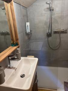 a bathroom with a sink and a shower at Gîte Au Pré des Chevaux in Chateau-d'Oex +11 photos