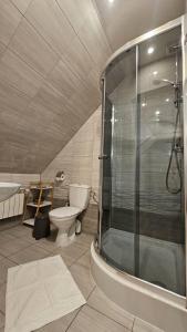 a bathroom with a shower and a toilet and a sink at Apartament Jaskier in Zakopane +22 photos