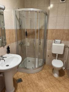 a bathroom with a shower and a toilet and a sink at Prenoćište Stanica in Bosanska Krupa