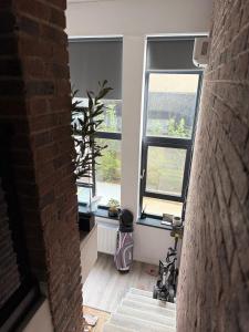 Un pasillo con dos ventanas y una planta en una habitación. en The Brick Studio, en Colentina