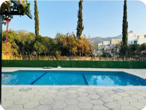 una piscina en un patio con palmeras en A Spacious Villa to Entertain, en Aglantzia