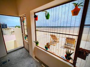 Μπαλκόνι ή βεράντα στο OZE Stay