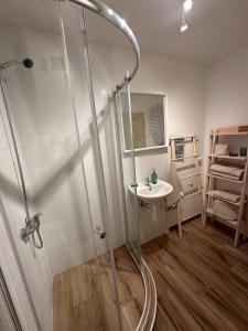 a bathroom with a shower and a sink at Apartmán ve dvoře in Žatec