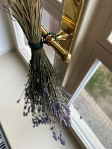a bunch of lavender in a vase on a window at Apartmán ve dvoře in Žatec