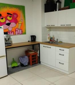 トレンチーンにあるKrásny priestranný slnečný apartmán v centre mestaの白いキャビネットとカウンタートップを備えたキッチン