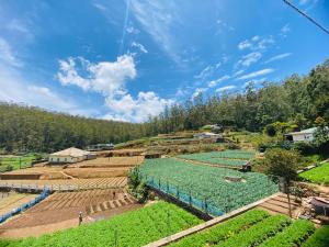 Una vista general de un jardín con cultivos en una colina. en Camellia Hill Nuwaraeliya, en Kandapola