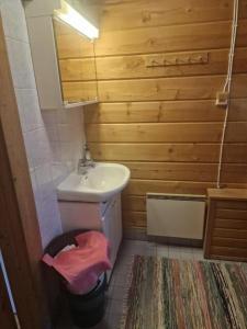 a bathroom with a sink and a toilet and a mirror at Yllästölli 2B in Äkäslompolo