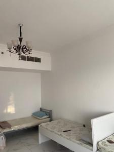 Foto dalla galleria di عجمان هايتس ad Ajman