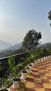 a row of plants in white pots on a balcony at The Pahadi Ghar in Chail
