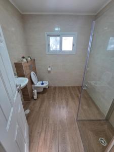 a bathroom with a shower and a toilet and a sink at Villa Gefen in Qiryat Shemona