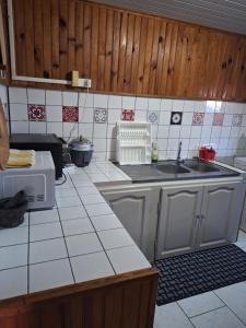 eine Küche mit Spüle und Arbeitsplatte in der Unterkunft Au Coeur du Safran in Saint-Joseph + 41 Fotos