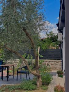 Κήπος έξω από το Villa Mucenji