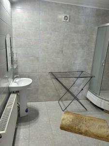 穆卡切沃Кімната студія的带水槽和带镜子的淋浴的浴室