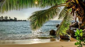 a view of the ocean from a beach with a palm tree at Hotel The Baga Prime in Baga