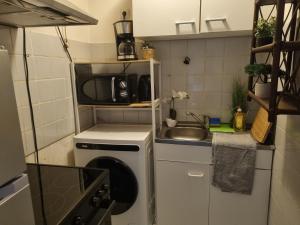 Η κουζίνα ή μικρή κουζίνα στο Deluxe Studio Apartment with balcony and view