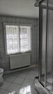 a bathroom with a shower and a toilet and two windows at Alte Bleiche Lengefeld in Lengefeld +22 photos