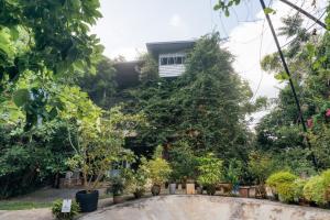 ネゴンボにあるCeylon Kingsmen Garden - Katunayake Airport Transit Hotelsの建物前の植木庭園