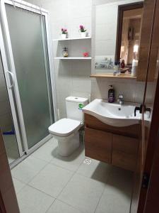 Un baño con ducha, inodoro y lavabo. en Joli appartement 2 chambres à Agadir, en Agadir