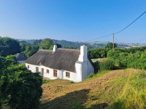 a white house with a thatched roof on a hill at The Coach House - Uk49601 in Lifton