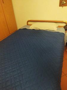 a bed with a blue comforter on top of it at Villa Fontana 2 in Capannori