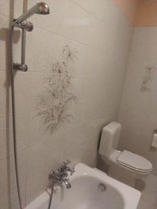 a bathroom with a shower and a toilet and a sink at Villa Fontana 2 in Capannori