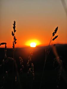 Billede fra billedgalleriet på Alte Bleiche Lengefeld i Lengefeld