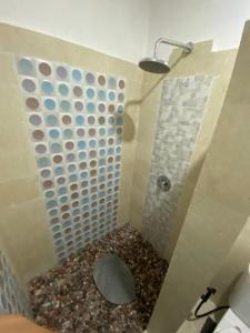 a bathroom with a shower with a toilet in it at AMED LILI Private Room in Amed