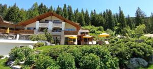 Zahrada ubytování Hotel Costes