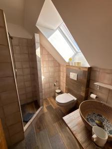 a bathroom with a toilet and a shower with a skylight at Ubytování Otín in Jindrichuv Hradec